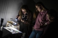 5c0ba0e4-62a1-438c-833d-68652c590612